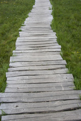 Naklejka na ściany i meble Walkway with wooden bridge through meadow and swamp