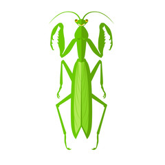 Green Grasshopper Icon