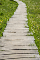 Walkway with wooden bridge through meadow and swamp