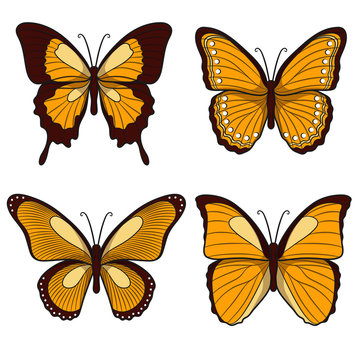 Set of yellow vector butterflies. Isolated objects on a white background 