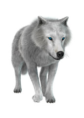 3D Rendering Polar Wolf on White