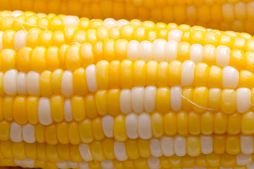Boiled corn in closeup