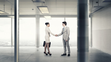 Business partners handshake