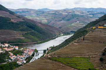 Naklejka premium Vineyard hills in the river Douro valley, Portugal