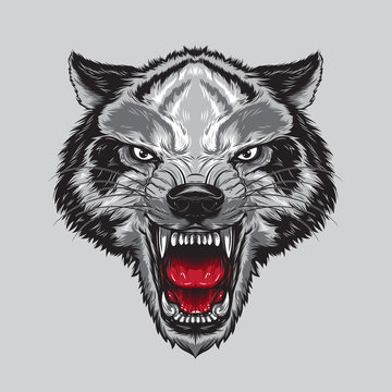 Angry Wolf Face