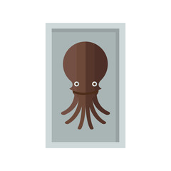 Brown Squid on tray