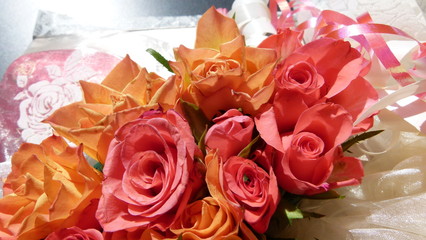Rosen, Blüten, lachs, orange 2