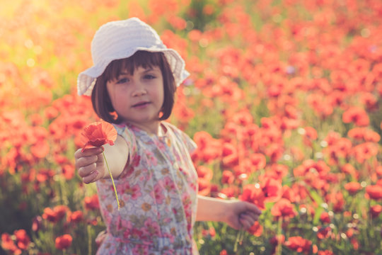 Baby girl collecting flowers in a poppies field
