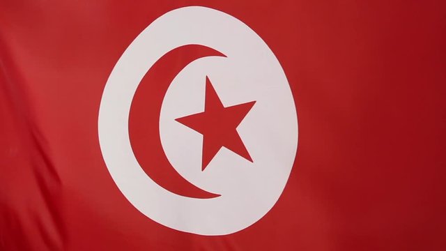 Как выглядит флаг туниса 830 BESTE Tunisian STOCK-VIDEOS & -FILMMATERIAL Adobe Stock
