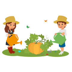 boy and girl watering the pumpkin.