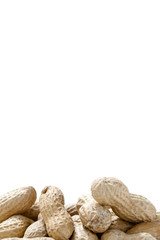 group of monkey nuts