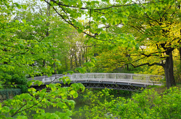 Großer Garten Dresden im Frühling mit Carolasee Brücke
