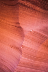 Obraz premium Ridge on Sandstone Canyon