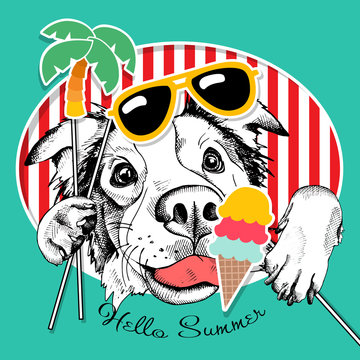 Festive poster with the portrait of the dog Australian shepherd with the summer photo booth props. Vector illustration.