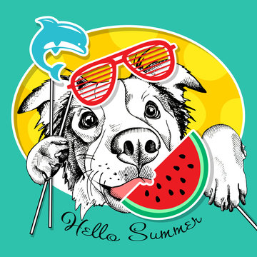 Festive poster with the portrait of the dog Australian shepherd with the summer photo booth props. Vector illustration.
