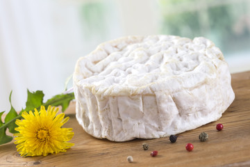 whole round of traditional  camenbert  cheese  from Normandy