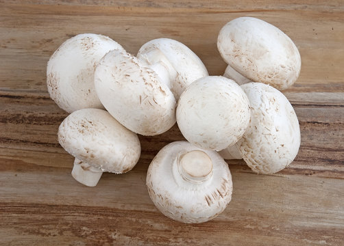 White fresh mushrooms
