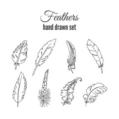 Vector feathers set. Hand drawn ethnic elements. Sketchy feather.