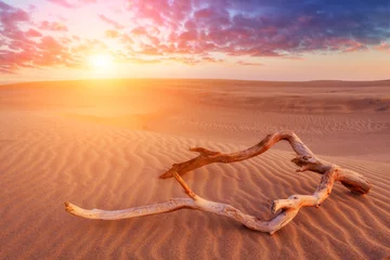 Afwasbaar Fotobehang Woestijnlandschap woestijn