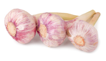 three fresh garlic head isolated on white background