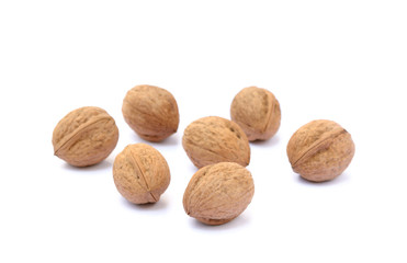 Walnuts in shell isolated on white background