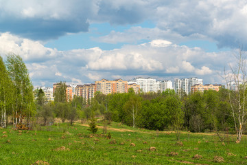 Fototapeta na wymiar Natural summer landscape with the city in the distance