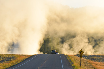 Road among geyser steams in the morning mist - Yellowstone National Park, Wyoming - USA 