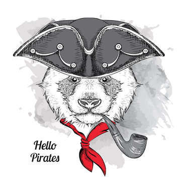 Image Portrait panda in a pirate hat and  with tobacco pipe. Vector illustration.