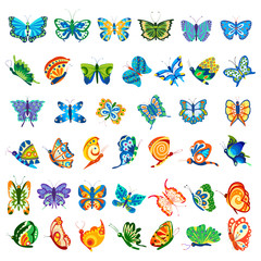 Obraz premium Collection of colorful Butterfly