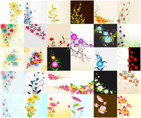 Collection of Floral Background