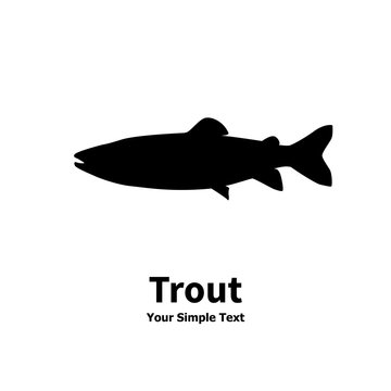 Vector illustration silhouette of trout