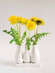 dandelions, white vase