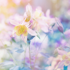 Obraz premium Floral background