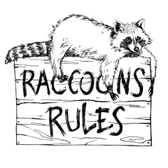 Funny and touching raccoon lies on a plate raccoons rules hand drawn engrave sketch vector illustration © samuii