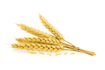 Wheat isolated on white