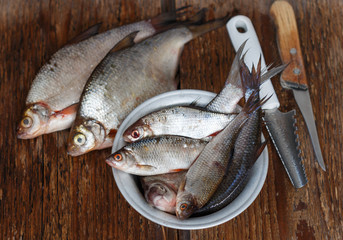 Freshly caught river fish. Selective focus