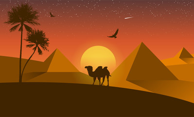 Fototapeta na wymiar Landscape desert silhouette