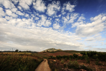 Fototapeta na wymiar Sicilian Spring Hills Landscape