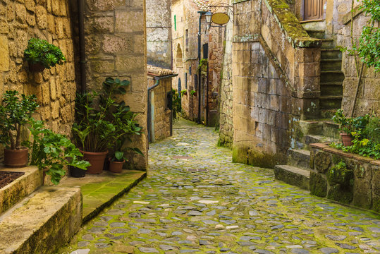 Fototapeta Narrow street of medieval ancient tuff city Sorano with green plants and cobblestone, travel Italy background
