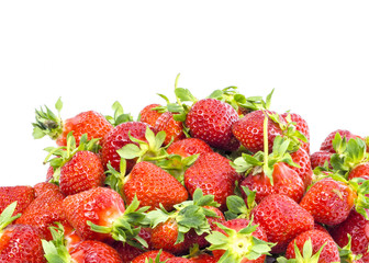 red ripe bunch of fresh strawberries