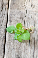 Mint on wooden table