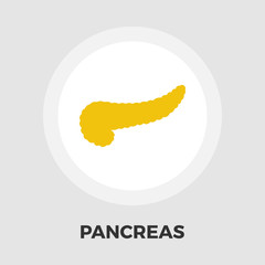Pancreas icon flat