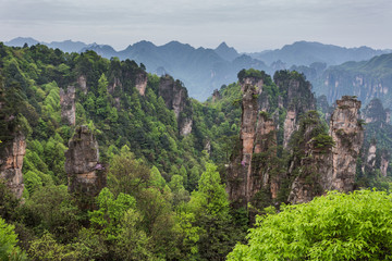 Fototapeta na wymiar Avatar mountains of Zhangjiajie - China
