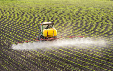 Tractor spraying soybean