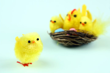 easter chick foreground and easter chicken roost in background on green background