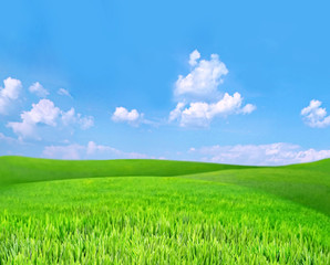 Obraz premium Beautiful summer landscape with green hills and blue sky