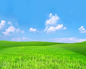  Beautiful summer landscape with green hills and blue sky © Africa Studio