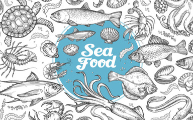 seafood or underwater world. hand-drawn sketches. vector illustration