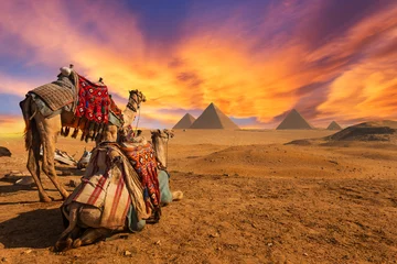 Foto op Aluminium Egypt. Cairo - Giza. General view of pyramids © kanuman