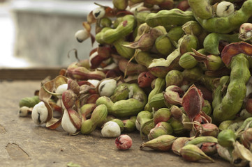 Guamuchil Fruta tipica de Jalisco